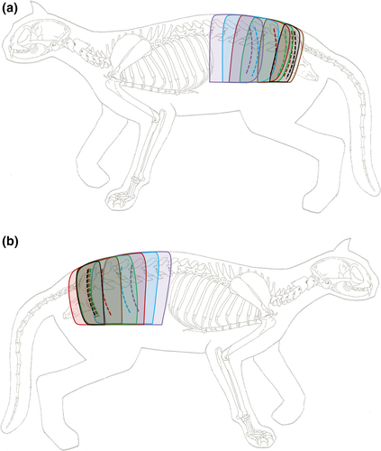 Details are in the caption following the image Details are in the caption following the image