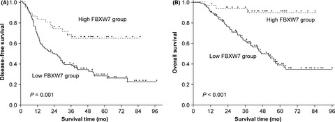 FBXW7 modulates malignant potential and cisplatin-induced apoptosis in cholangiocarcinoma through NOTCH1 and MCL1