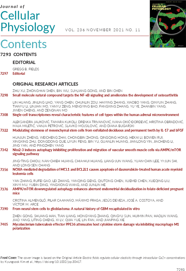 First page image