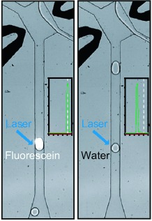 From Microdroplets to Microfluidics: Selective Emulsion Separation in Microfluidic Devices