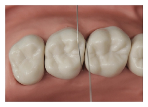 Details are in the caption following the image Details are in the caption following the image