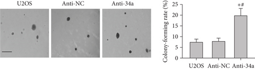 Details are in the caption following the image