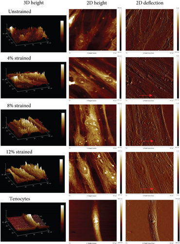 Details are in the caption following the image Details are in the caption following the image