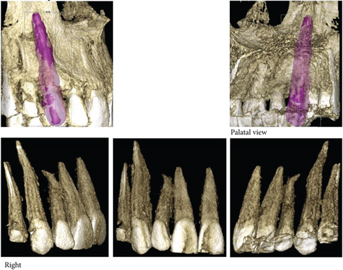Details are in the caption following the image Details are in the caption following the image