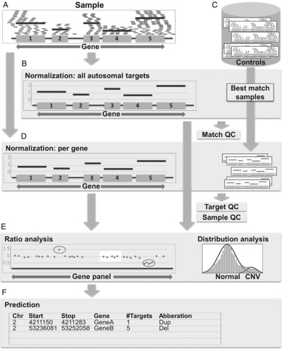 CoNVaDING: Single Exon Variation Detection in Targeted NGS Data