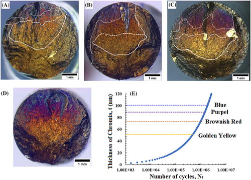 Details are in the caption following the image Details are in the caption following the image