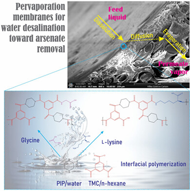 Enhanced desalination performance and arsenate removal using semi-aromatic polyamide-based pervaporation membranes by modifying with amino-acids via interfacial polymerization