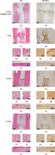 Details are in the caption following the image Details are in the caption following the image