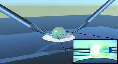 Micropipette aspiration as a tool for single-particle X-ray imaging and diffraction