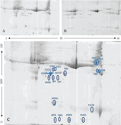 Details are in the caption following the image Details are in the caption following the image