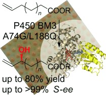 Enantioselective Allylic Hydroxylation of ω-Alkenoic Acids and Esters by P450 BM3 Monooxygenase