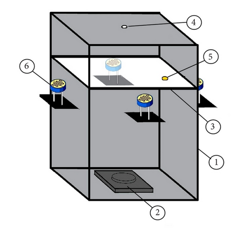 Details are in the caption following the image Details are in the caption following the image