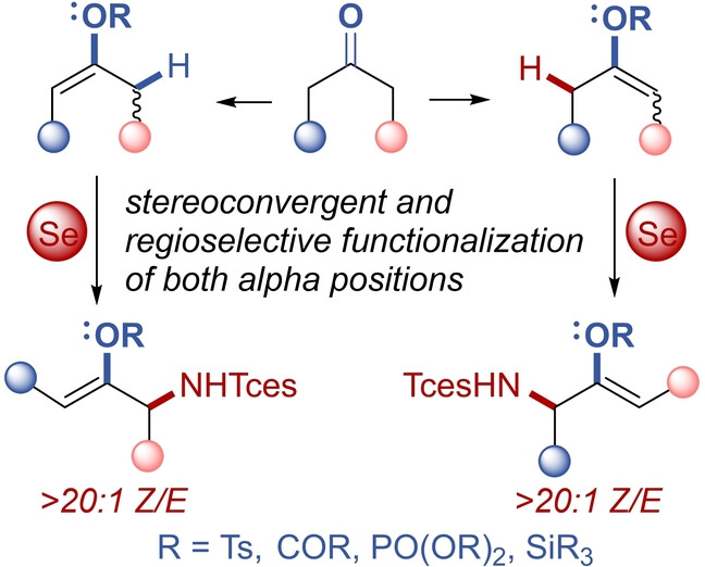 α’-Selective Selenium-catalyzed Allylic C−H Amination of Enol Derivatives