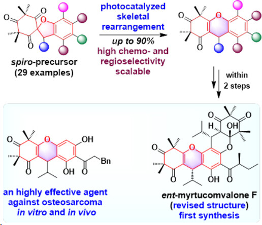 Visible-Light Photocatalyzed Skeletal Rearrangement Enables the Synthesis of Highly Functionalized Xanthenes with Antitumor Activity