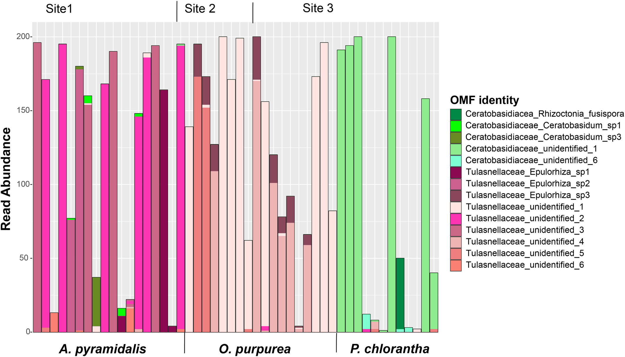 Co-occurring orchid species associated with different low-abundance mycorrhizal fungi from the soil in a high-diversity conservation area in Denmark