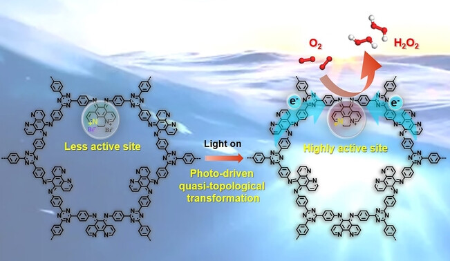 Photo-Driven Quasi-Topological Transformation Exposing Highly Active Nitrogen Cation Sites for Enhanced Photocatalytic H2O2 Production