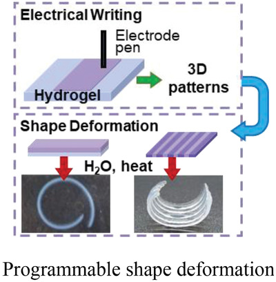 Electrical Writing to Three-Dimensional Pattern Dynamic Polysaccharide Hydrogel for Programmable Shape Deformation