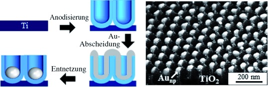 Self-Organized Arrays of Single-Metal Catalyst Particles in TiO2 Cavities: A Highly Efficient Photocatalytic System
