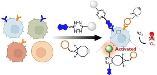 Toward Precise Antitumoral Photodynamic Therapy Using a Dual Receptor-Mediated Bioorthogonal Activation Approach
