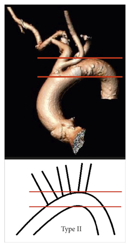 Details are in the caption following the image Details are in the caption following the image