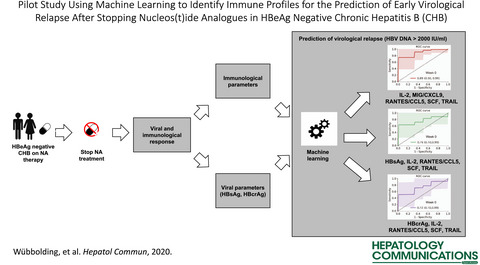 Pilot Study Using Machine Learning to Identify Immune Profiles for the Prediction of Early Virological Relapse After Stopping Nucleos(t)ide Analogues in HBeAg-Negative CHB