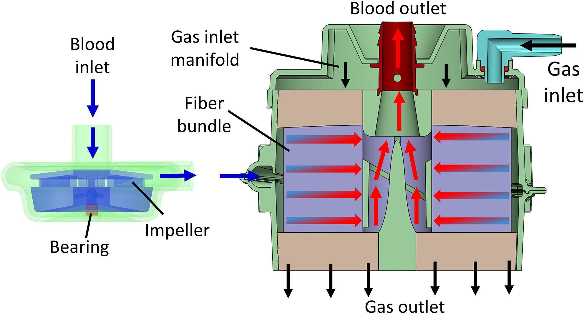 Computational fluid dynamics-based design and in vitro characterization of a novel pediatric pump-lung