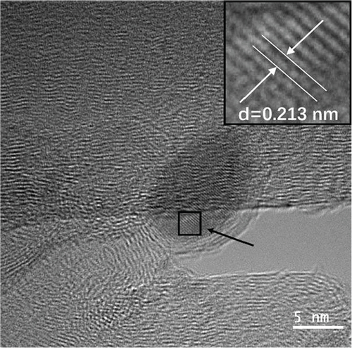 Details are in the caption following the image