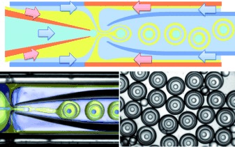 One-Step Emulsification of Multiple Concentric Shells with Capillary Microfluidic Devices