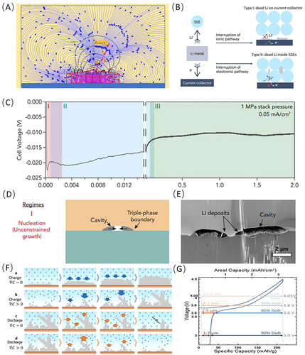 Details are in the caption following the image Details are in the caption following the image