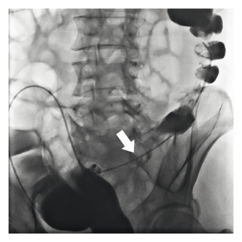 Details are in the caption following the image