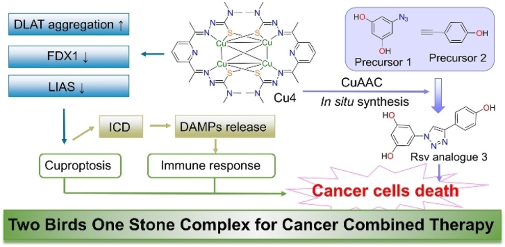 Anticancer Tetranuclear Cu(I) Complex Catalyzes a Click Reaction to Synthesize a Chemotherapeutic Agent in situ to Achieve Targeted Dual-Agent Combination Therapy for Cancer