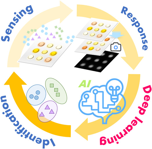 Deep Learning-Assisted Visualized Fluorometric Sensor Array for Biogenic Amines Detection