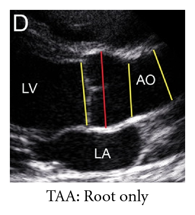 Details are in the caption following the image