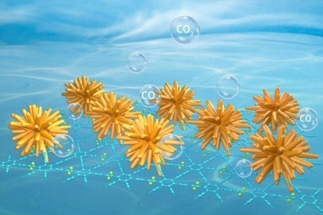 Defect Rich Structure Activated 3D Palladium Catalyst for Methanol Oxidation Reaction