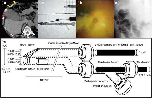 Details are in the caption following the image