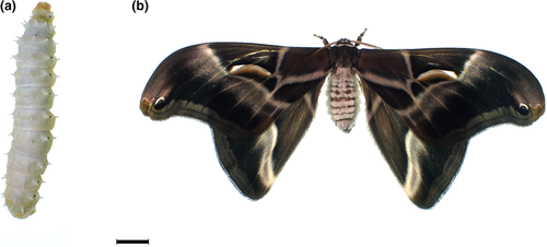 Details are in the caption following the image Details are in the caption following the image