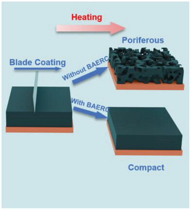 High-Performance Perovskite Flat Panel X-Ray Imagers via Blade Coating