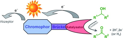 Homogeneous Photocatalytic Oxidation of Alcohols by a Chromophore–Catalyst Dyad of Ruthenium Complexes
