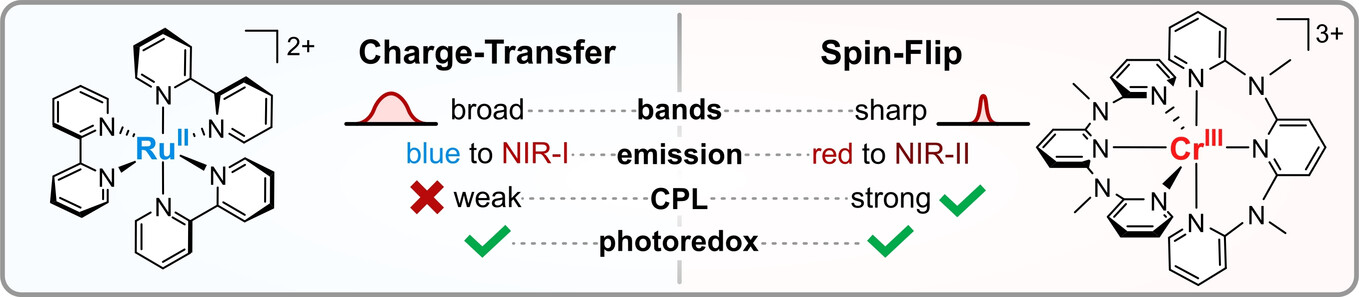 Charge-Transfer and Spin-Flip States: Thriving as Complements