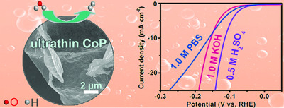 Sub-1.5 nm Ultrathin CoP Nanosheet Aerogel: Efficient Electrocatalyst for Hydrogen Evolution Reaction at All pH Values