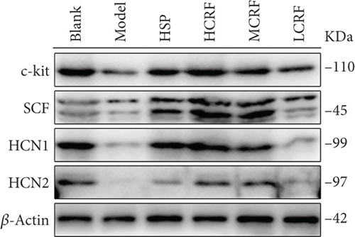 Details are in the caption following the image