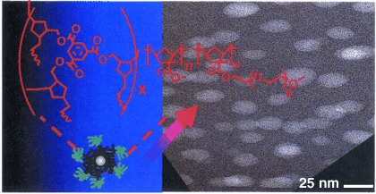 Templating of Silsesquioxane Cross-Linking Using Unimolecular Self-Organizing Polymers