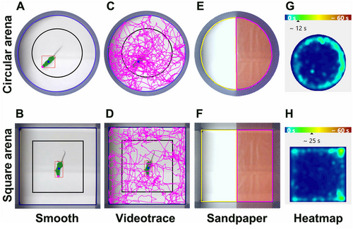 Details are in the caption following the image Details are in the caption following the image