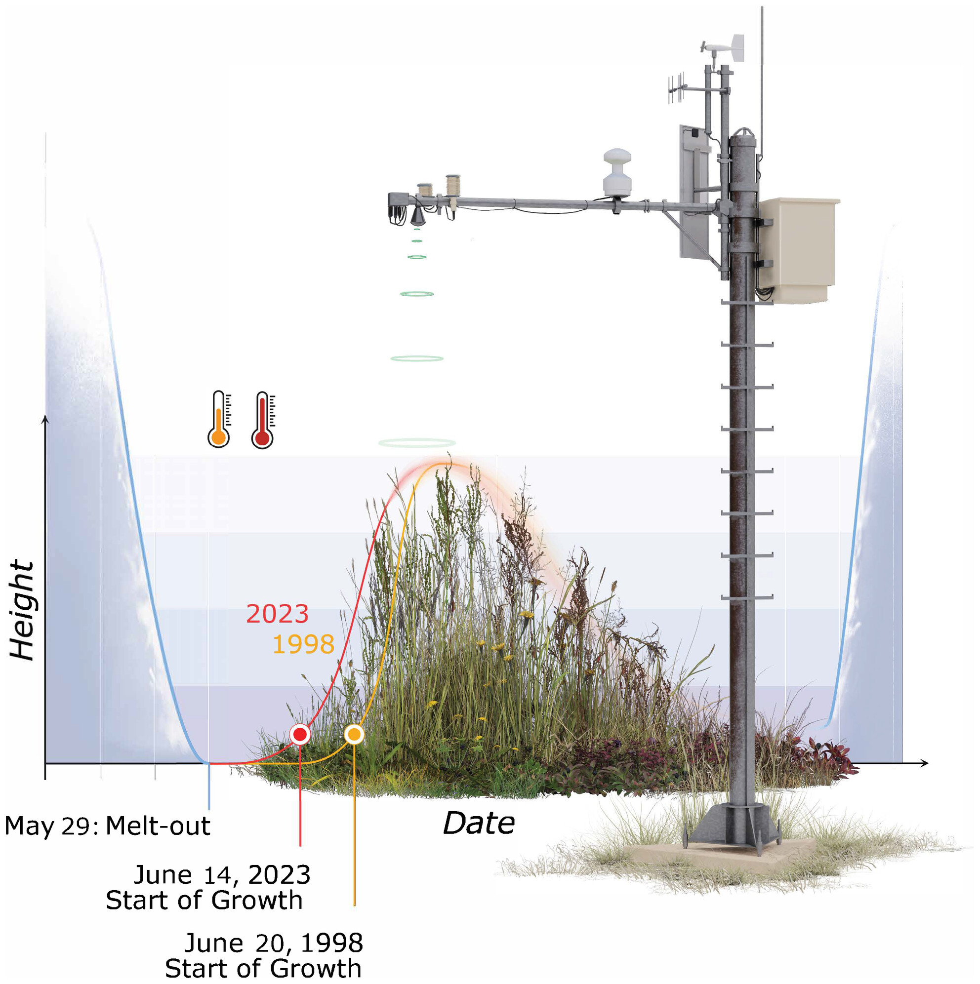Snow Height Sensors Reveal Phenological Advance in Alpine Grasslands