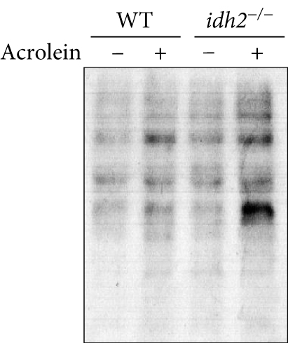 Details are in the caption following the image