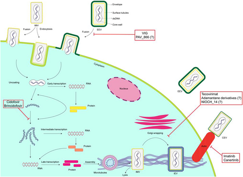 Details are in the caption following the image Details are in the caption following the image