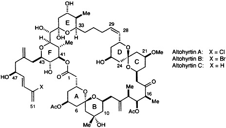 Enantioselective Synthesis of Altohyrtin C (Spongistatin 2): Synthesis of the AB- and CD-Spiroketal Subunits