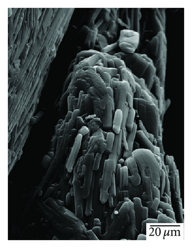 Details are in the caption following the image
