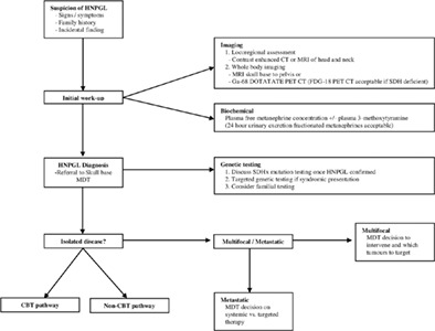 Contemporary management of paragangliomas of the head and neck