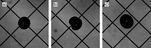 Details are in the caption following the image